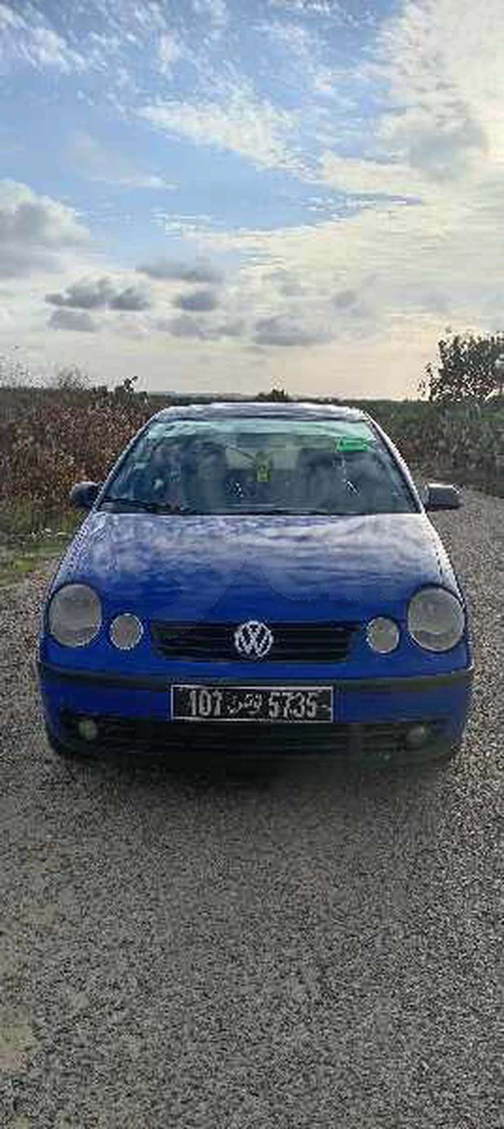 Carte voiture Volkswagen Polo