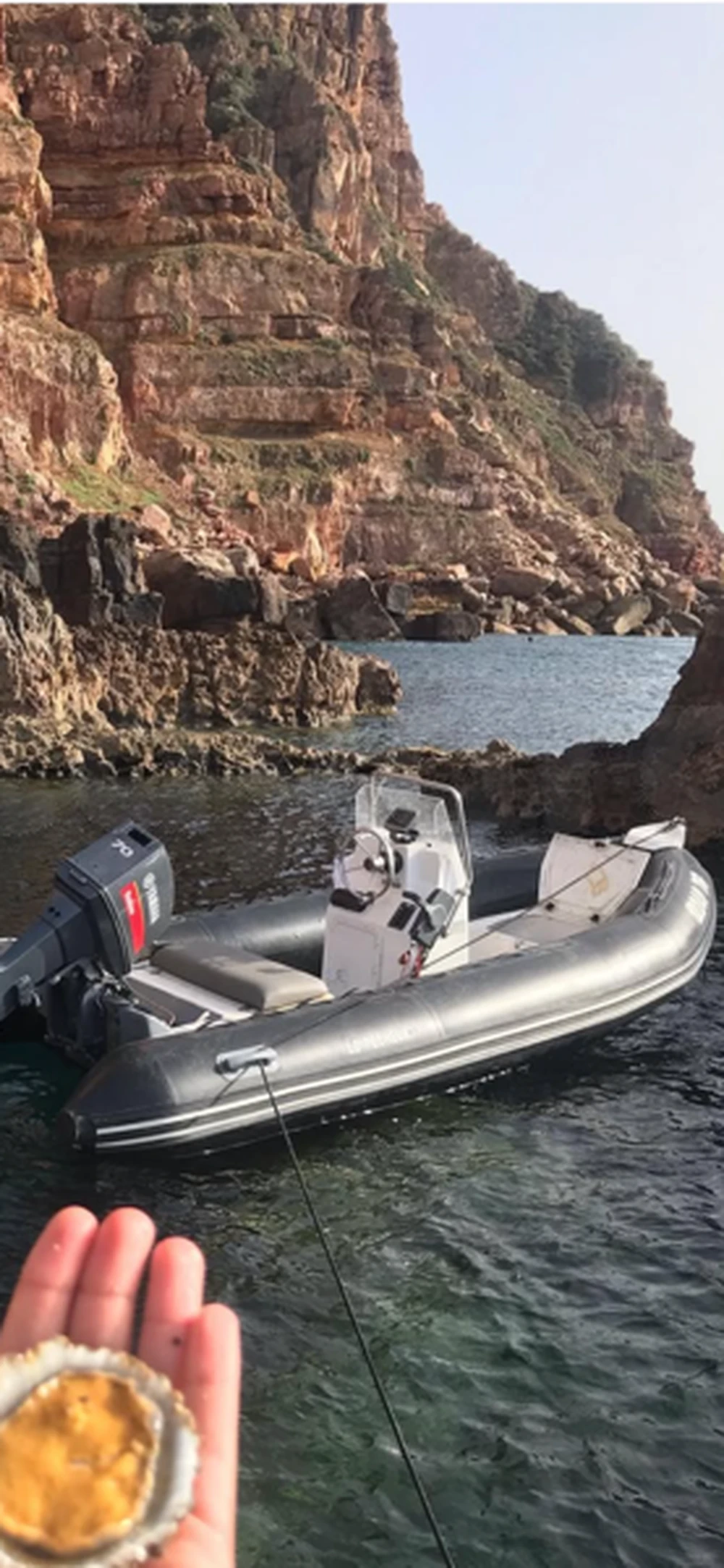semi rigide 4'80