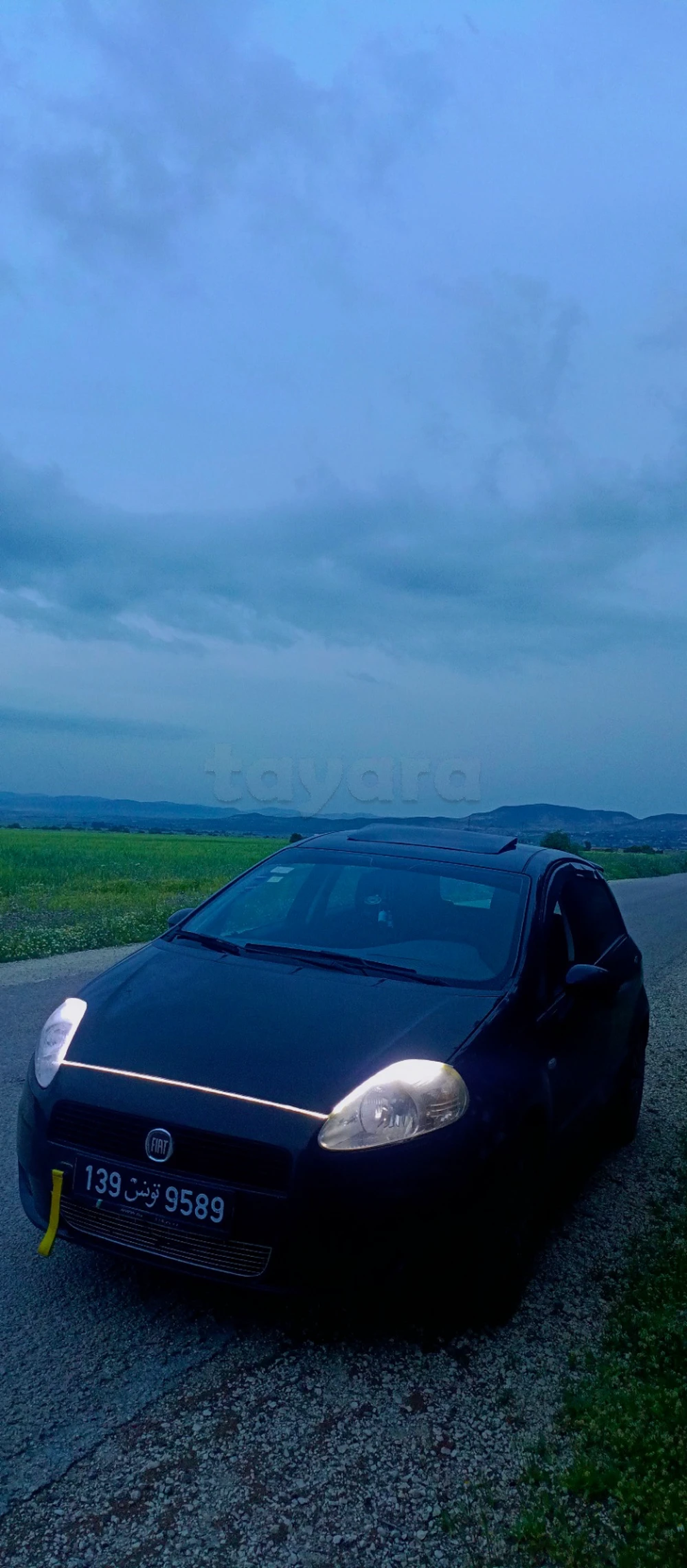 Carte voiture Fiat Punto
