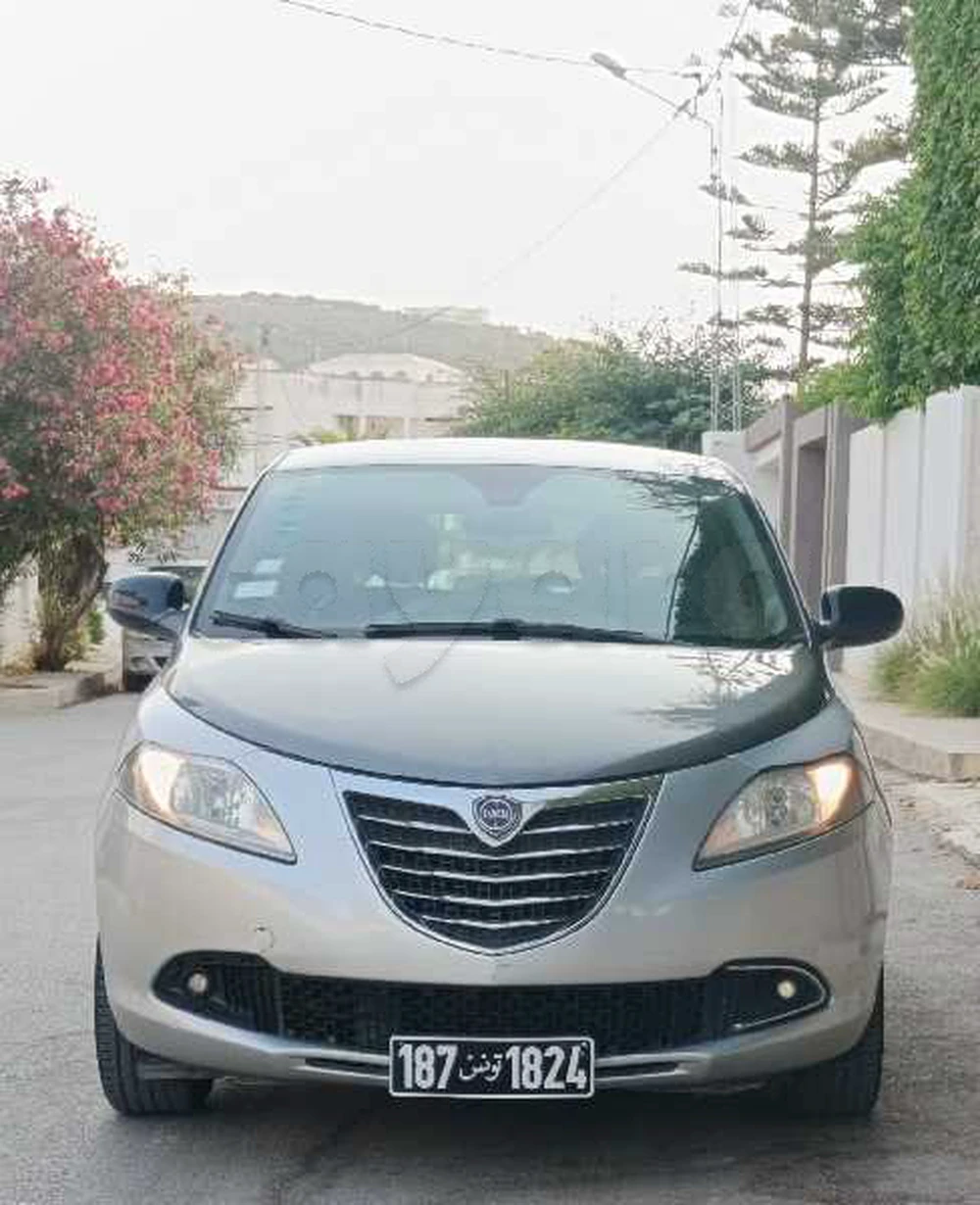 Carte voiture Lancia Ypsilon