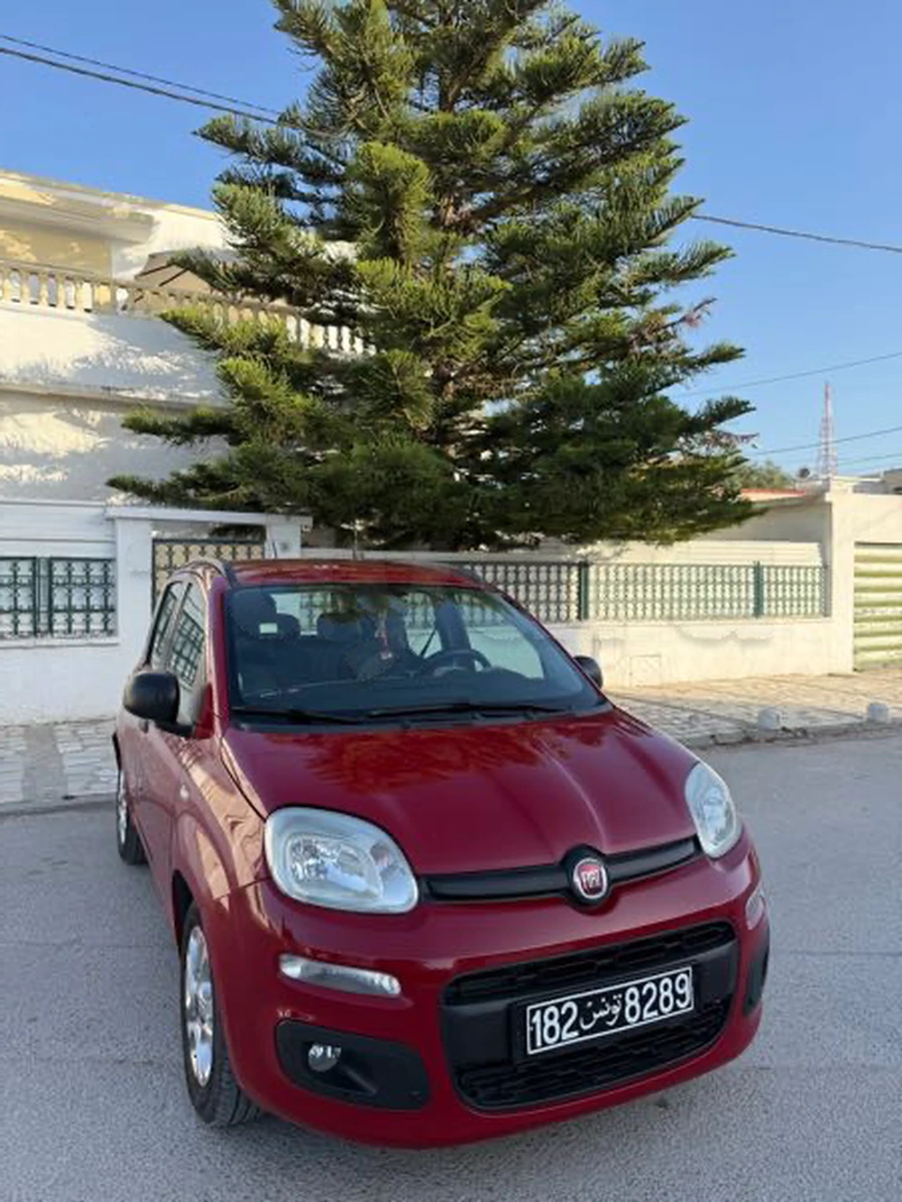Carte voiture Fiat Panda