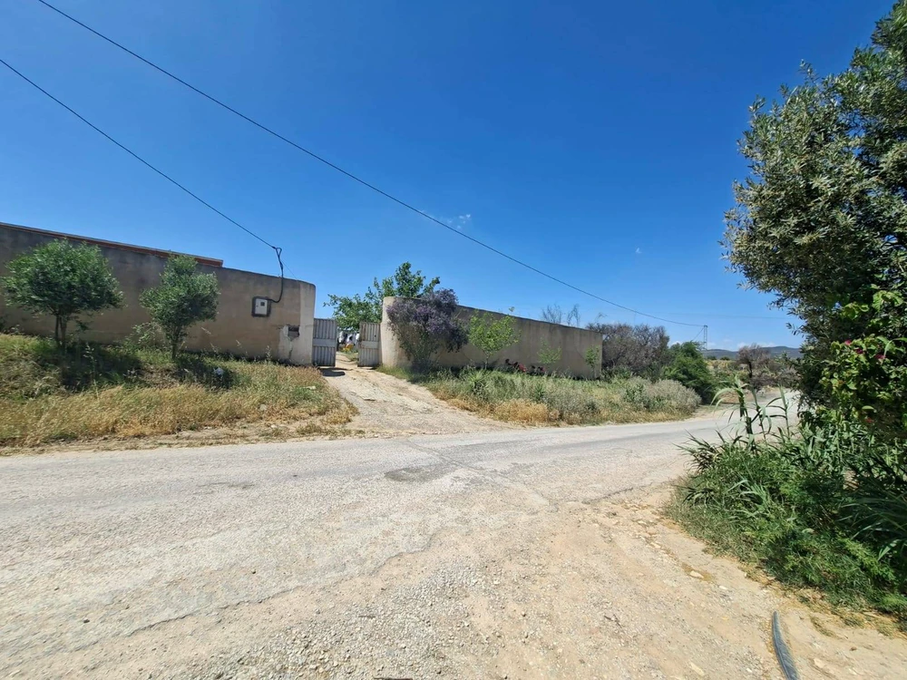 A vendre une belle villa S+3 à Mornag