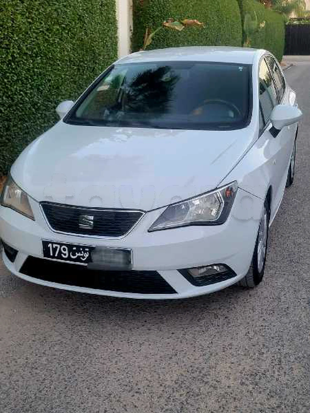 Carte voiture SEAT Ibiza