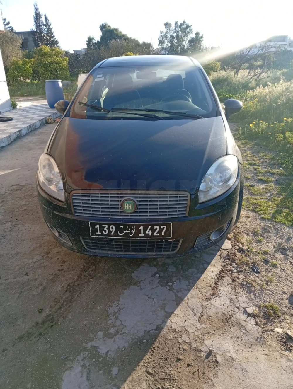 Carte voiture Fiat Linea