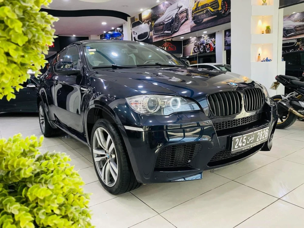 Carte voiture BMW X6