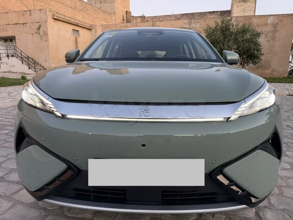BYD F1