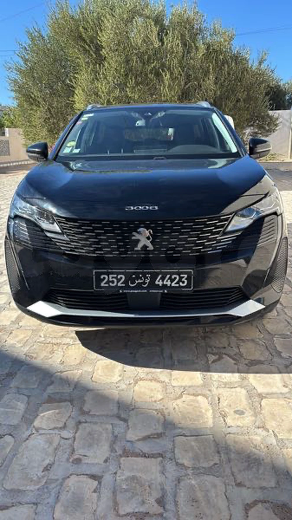 Carte voiture Peugeot 3008