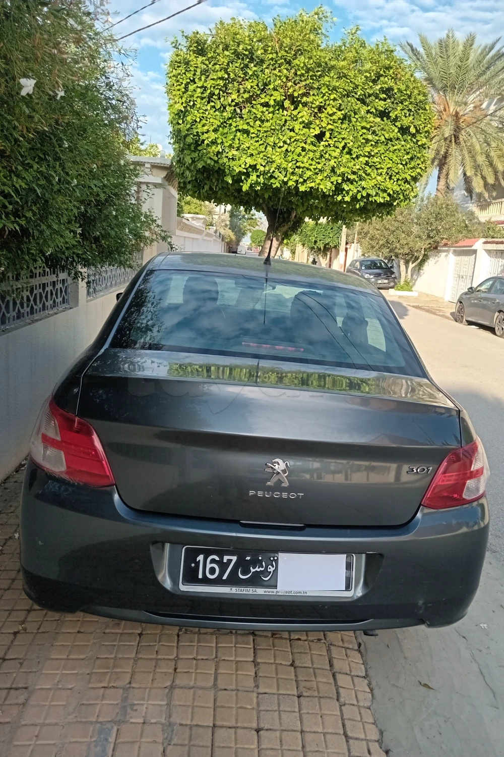 Carte voiture Peugeot 301