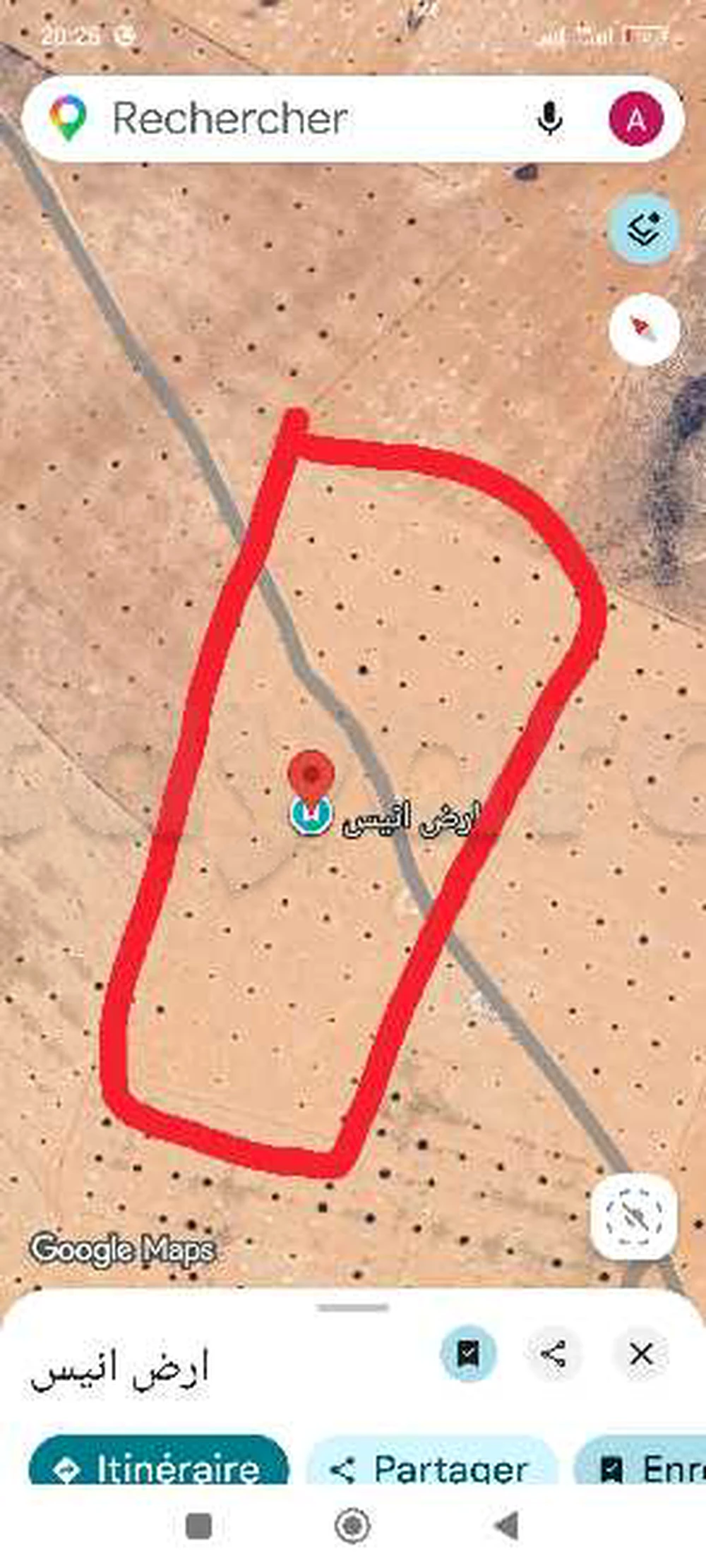ارض