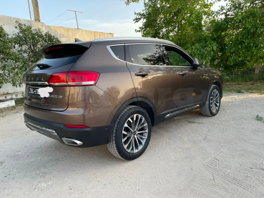 Carte voiture Haval H6