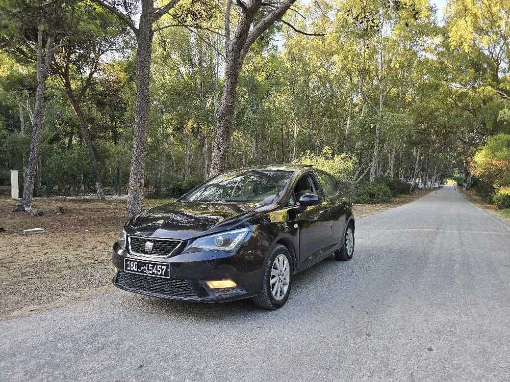 Carte voiture SEAT Ibiza