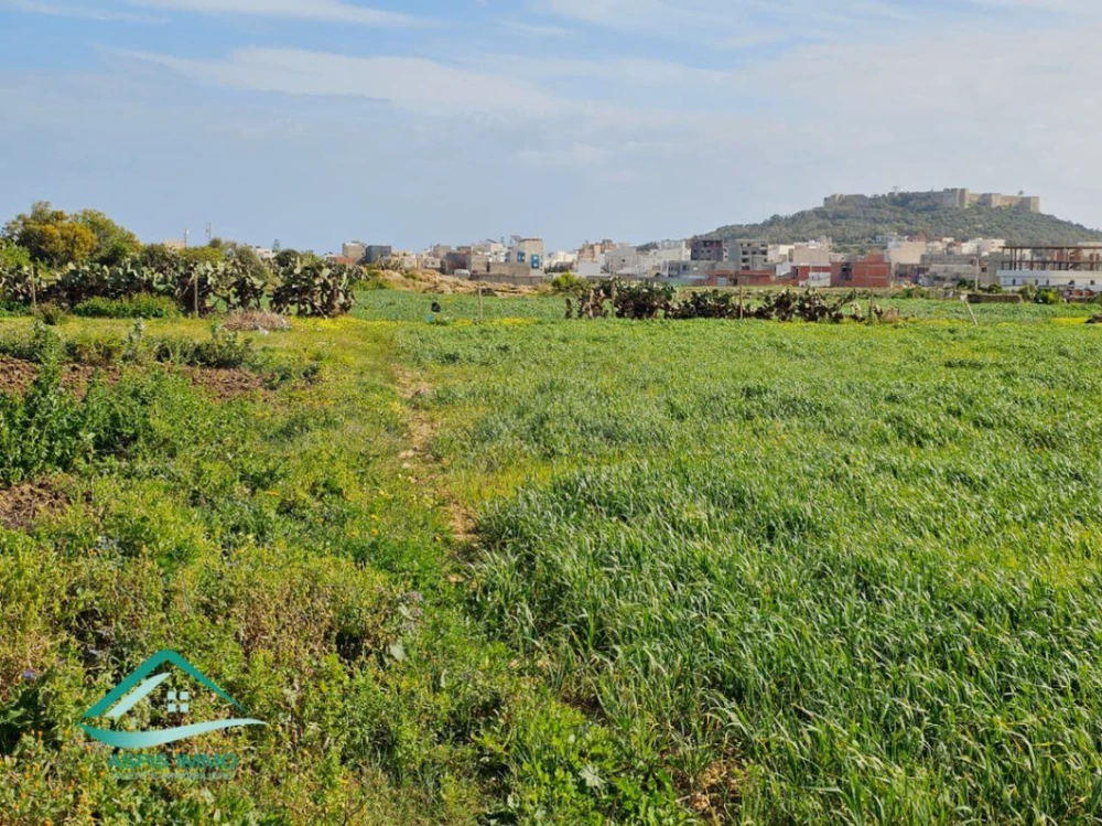 Terrain d'habitation 250 m² à Kelibia