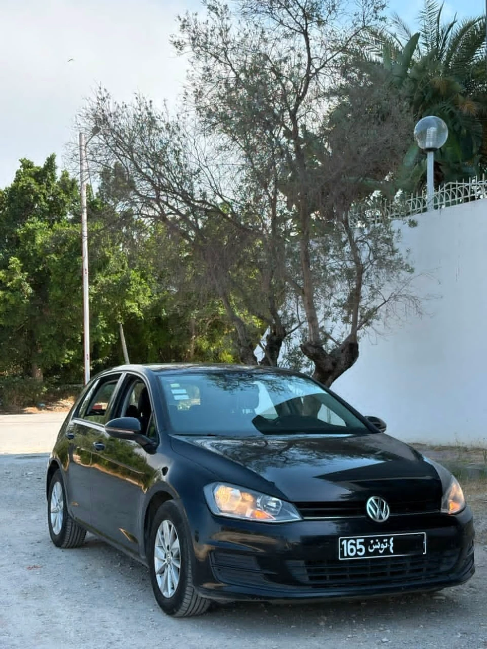 Carte voiture Volkswagen Golf