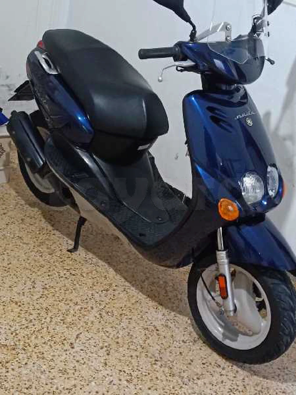 ovetto à vendre hammamet nabeul 3800 dt