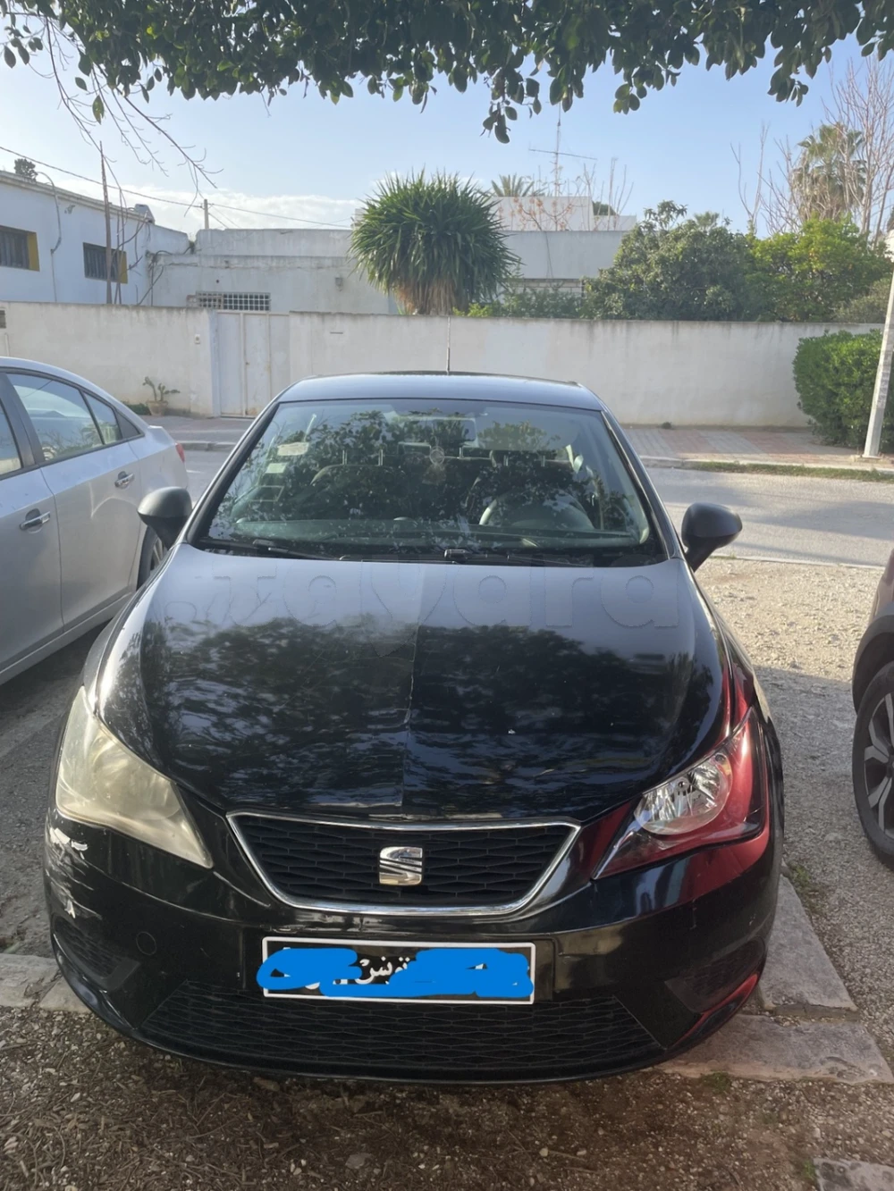 Carte voiture SEAT Ibiza