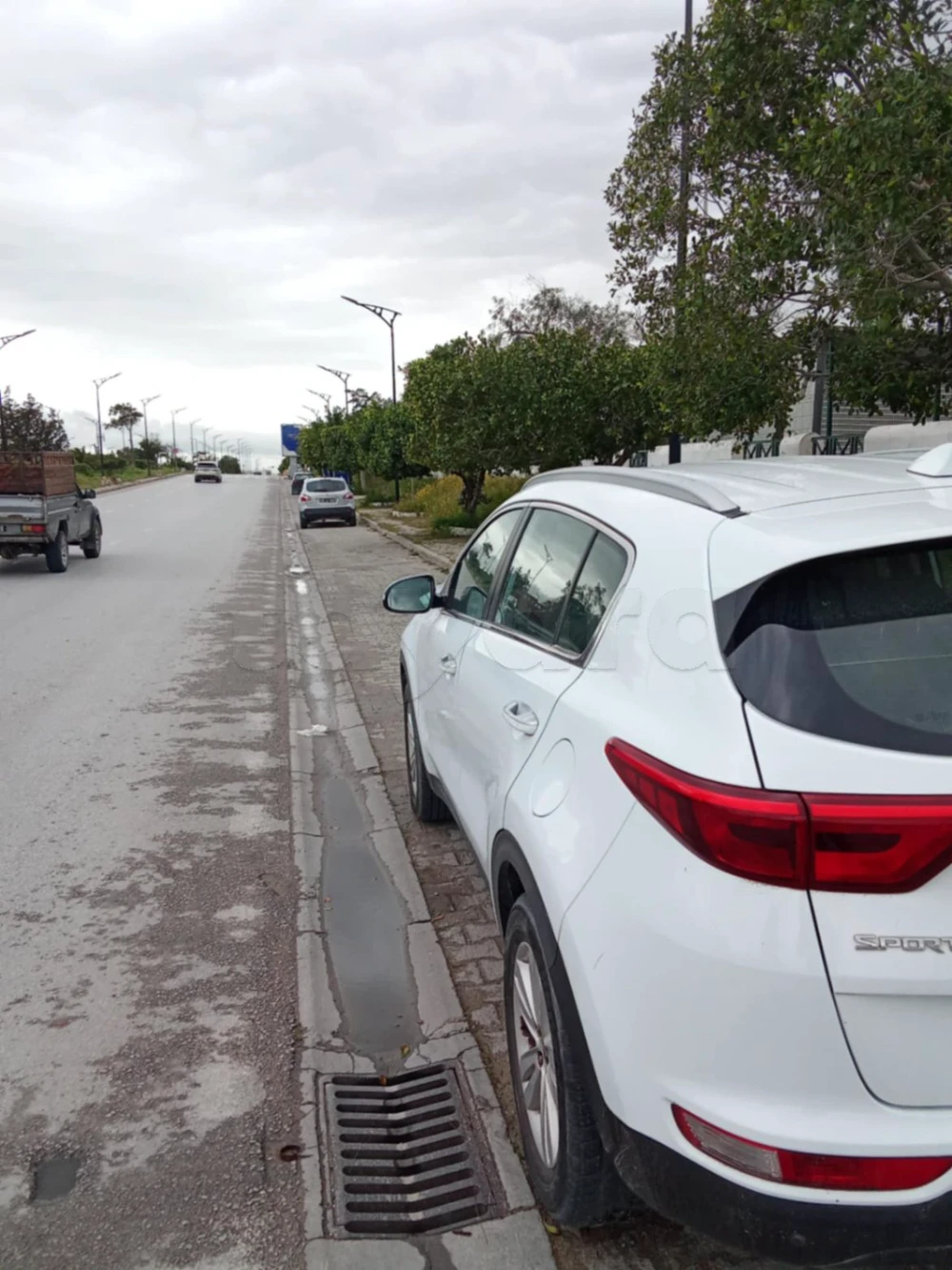 Carte voiture Kia Sportage