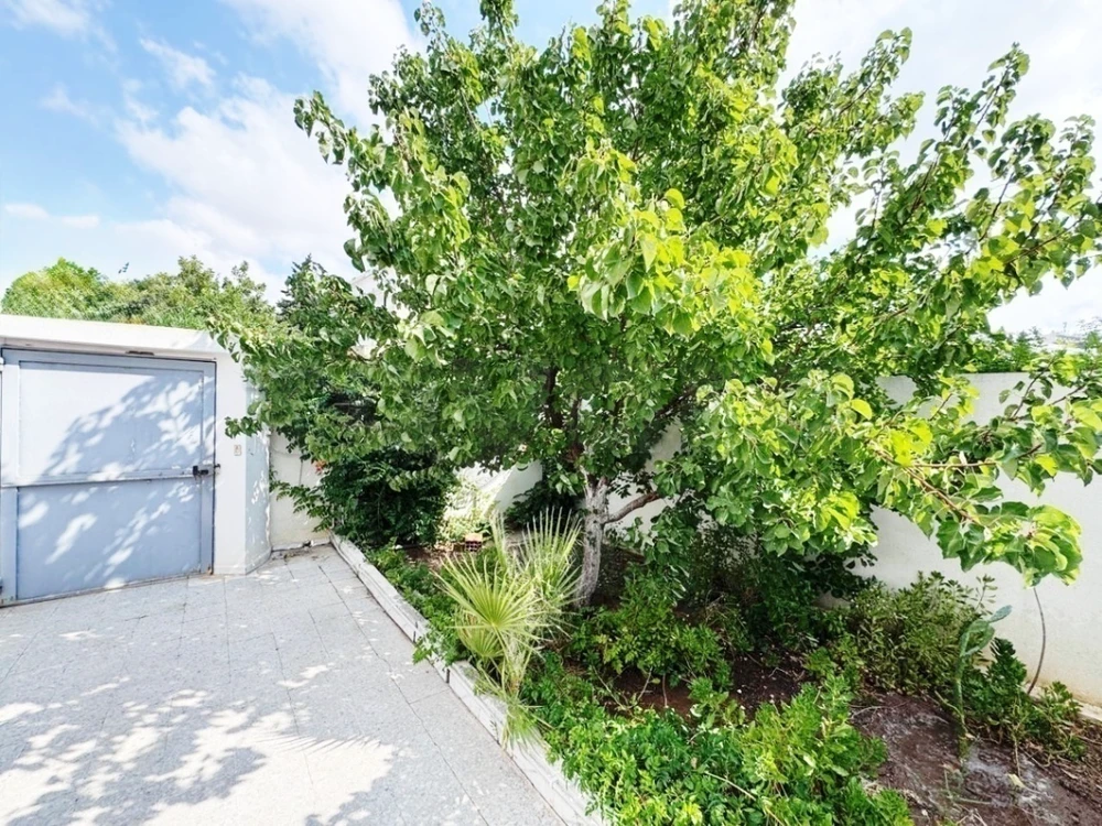 Rez de jardin en s+1 ElManar1