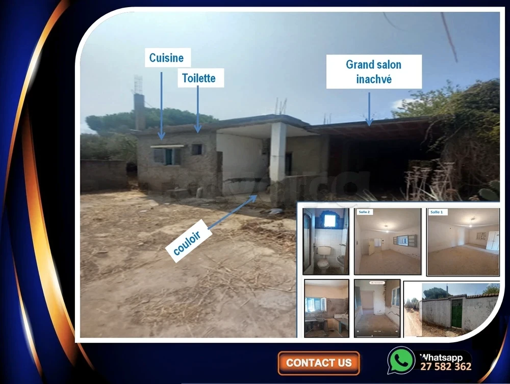 À Vendre : Maison + Grand Jardin (9 Oliviers) – Opportunité Rare à Louta / Bizerte Sud - Vista 3