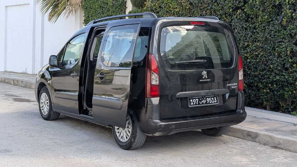 Peugeot Tepee