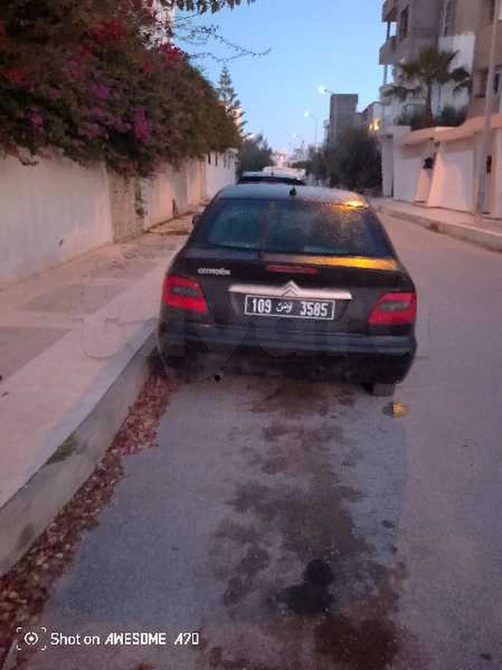 Citroen Xsara