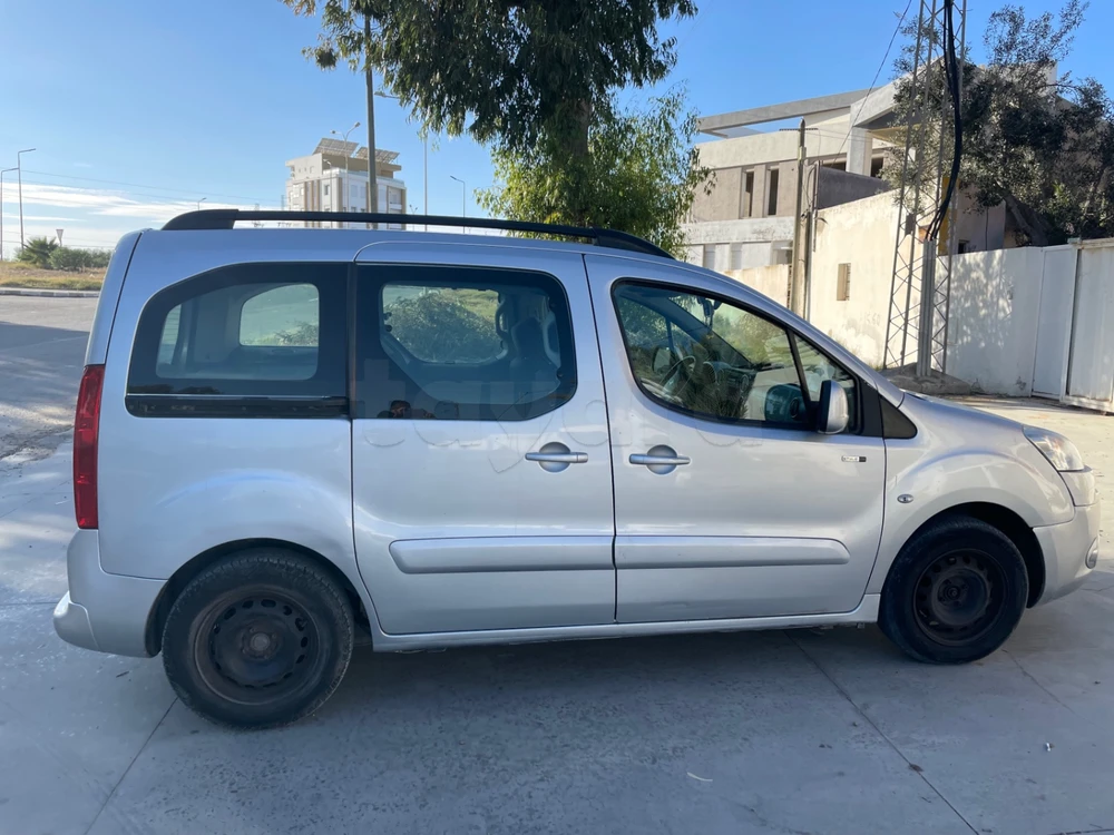 Peugeot Tepee