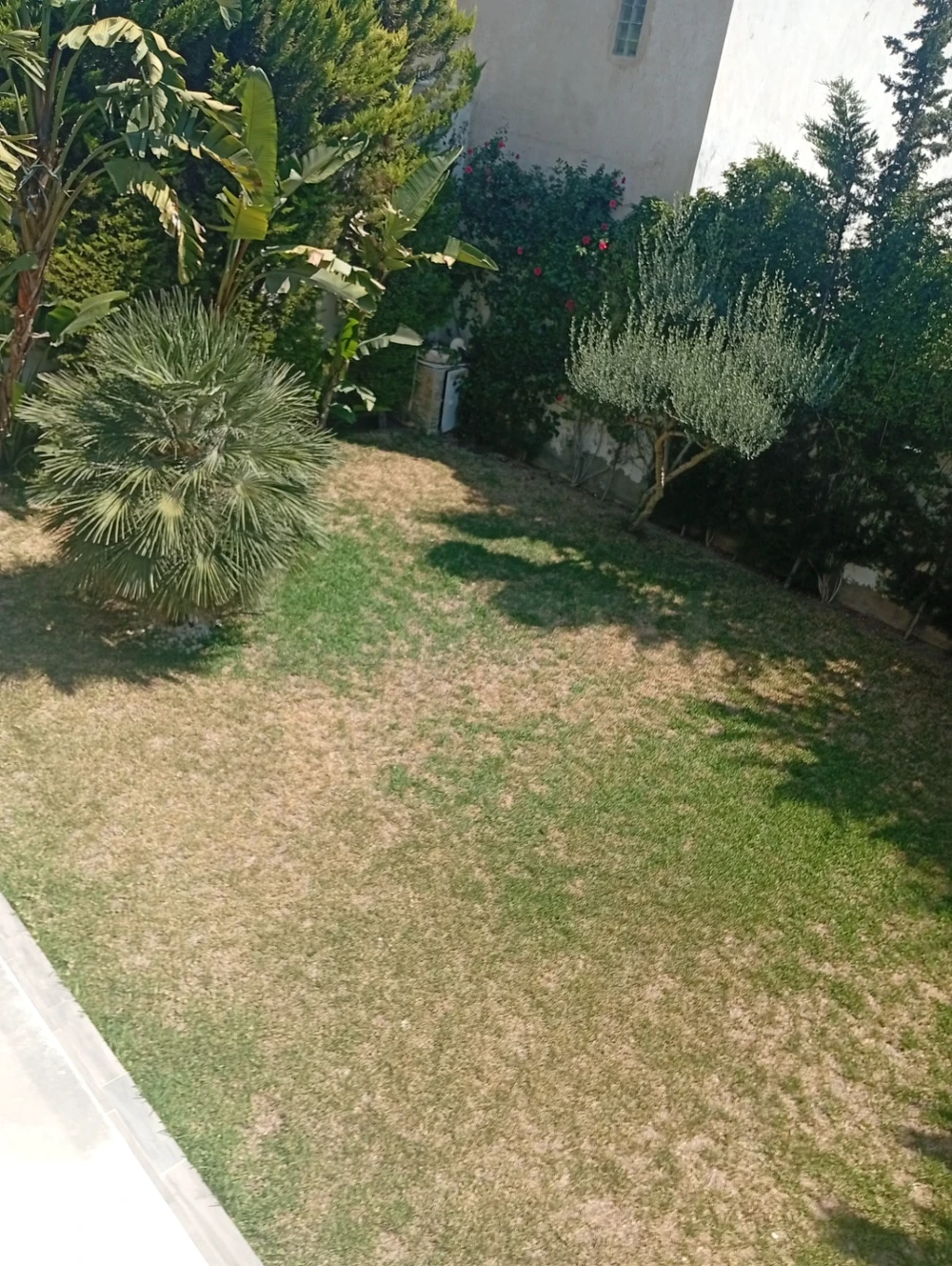 vente soukra chotrana1 terrain 1622m²