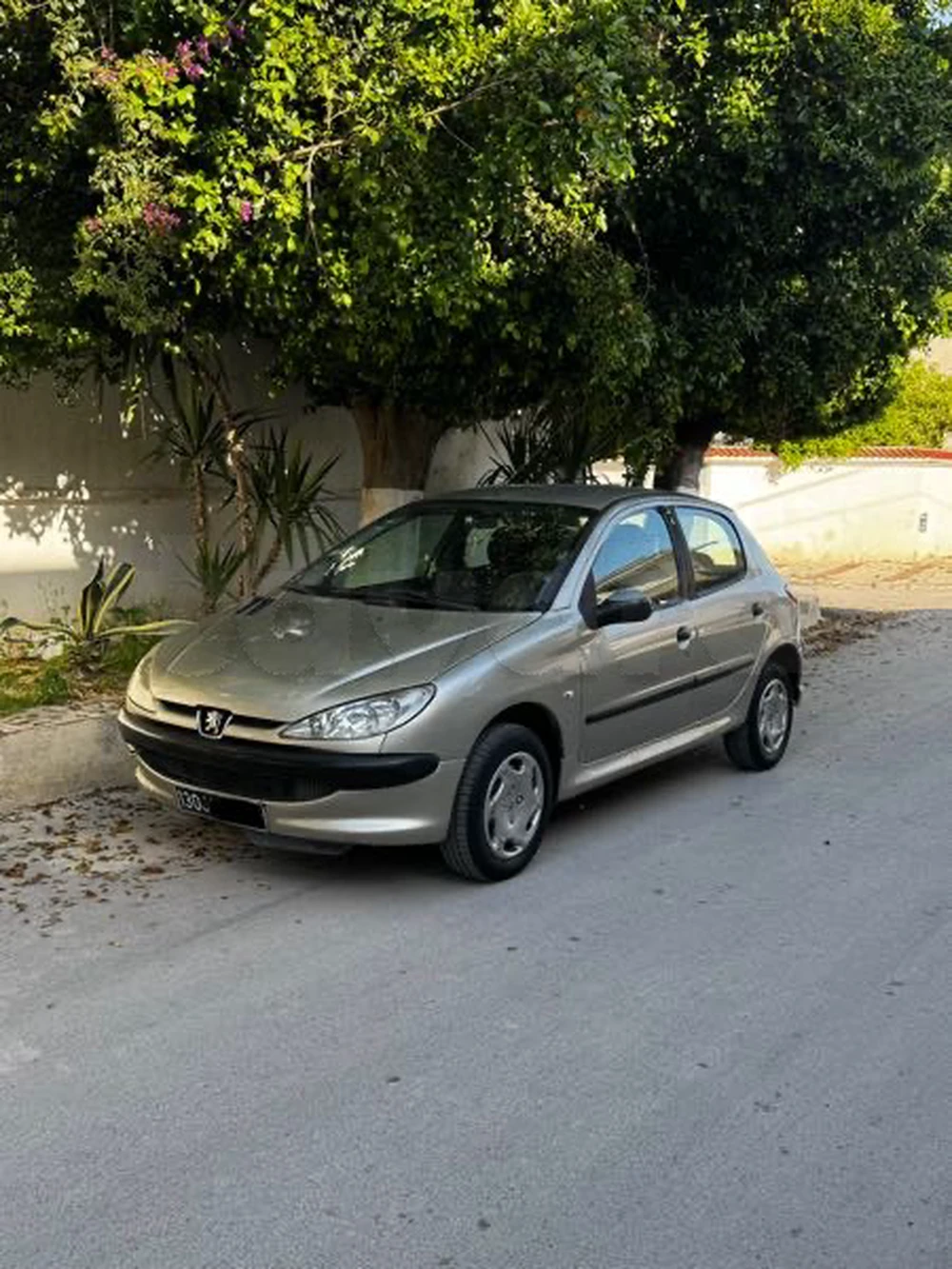 Carte voiture Peugeot 206