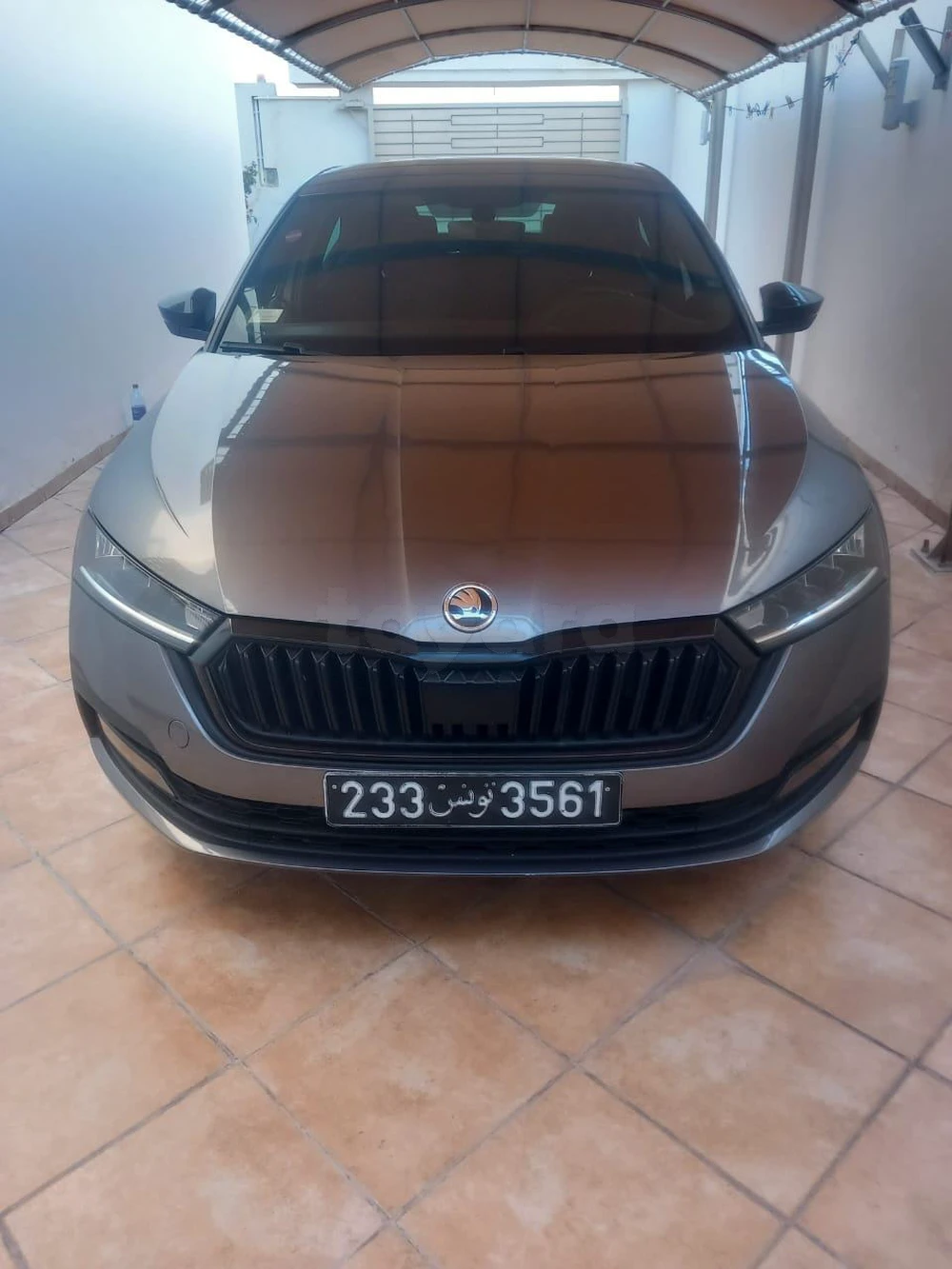 Carte voiture Skoda Octavia