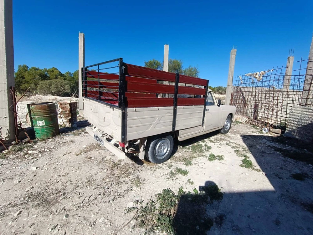 Carte voiture Peugeot 404