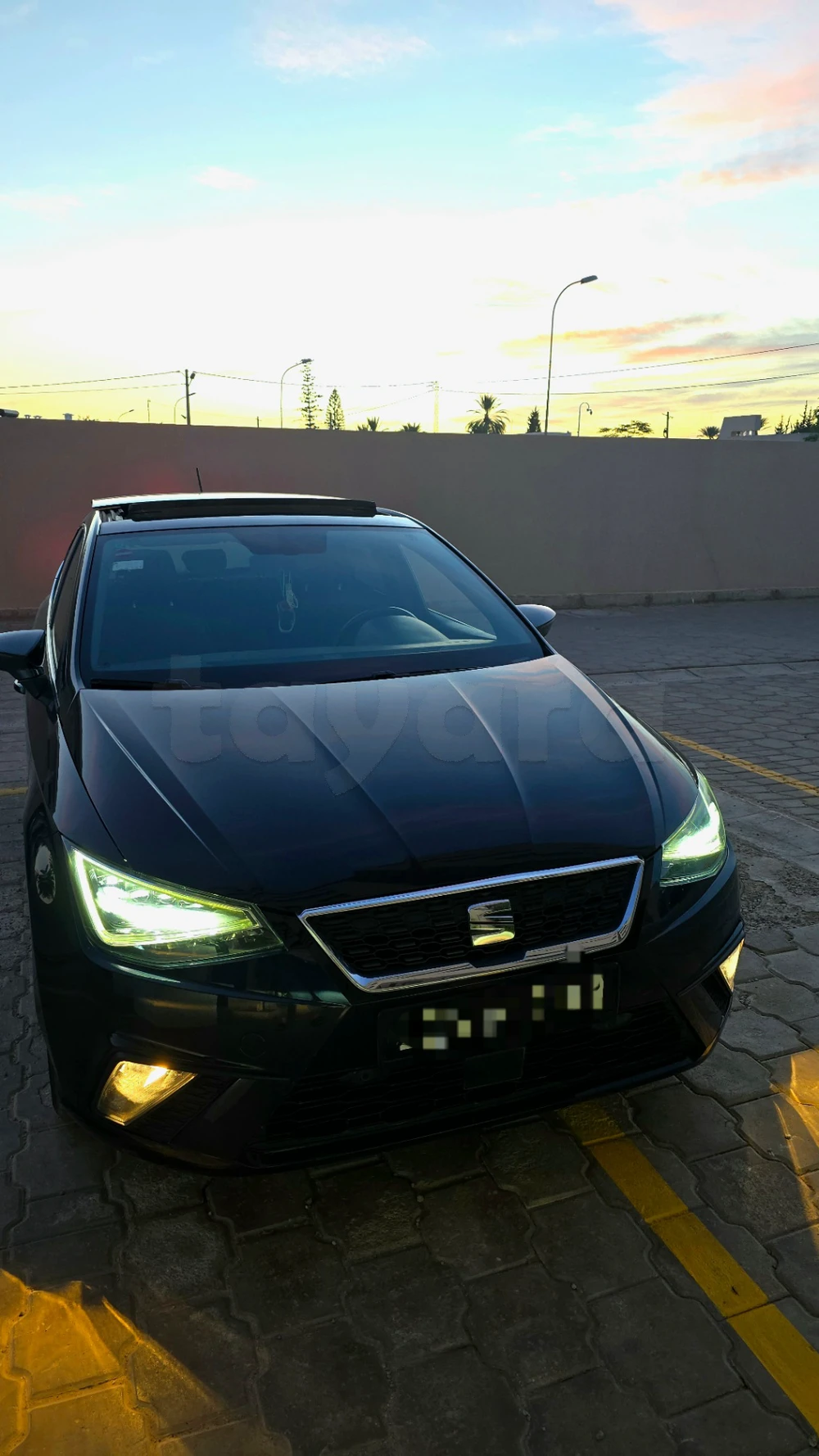 Carte voiture SEAT Ibiza