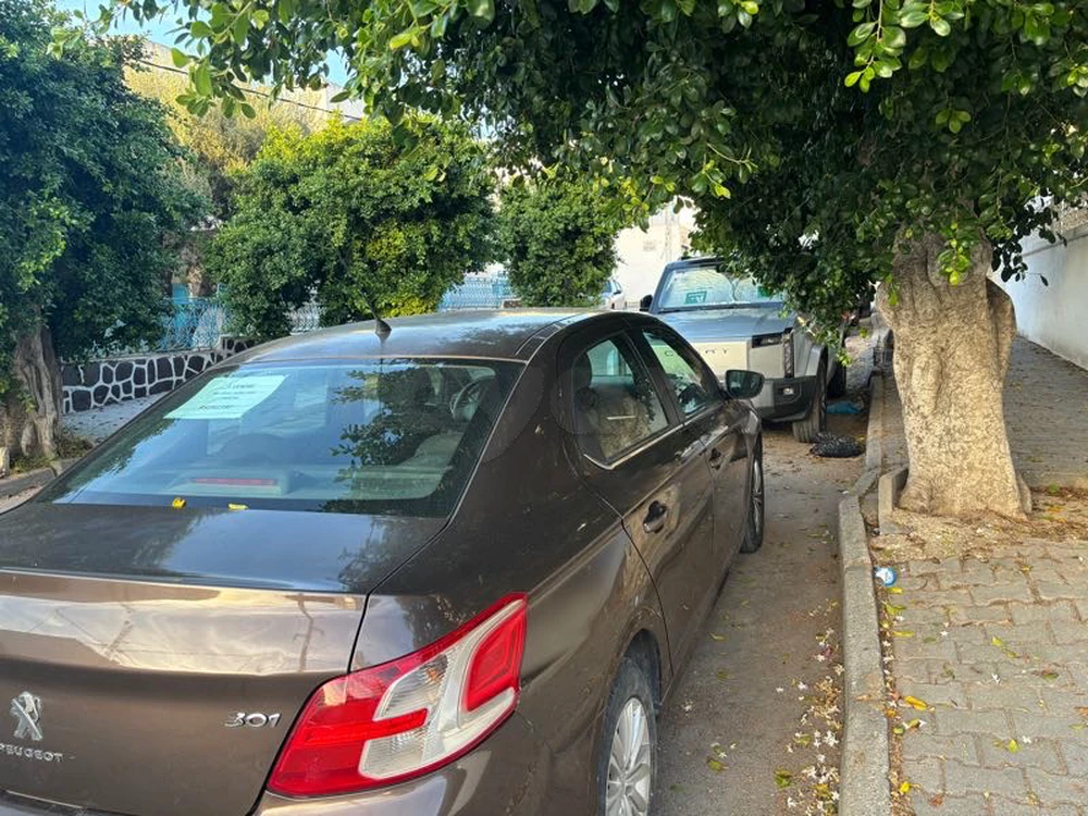 Peugeot 301
