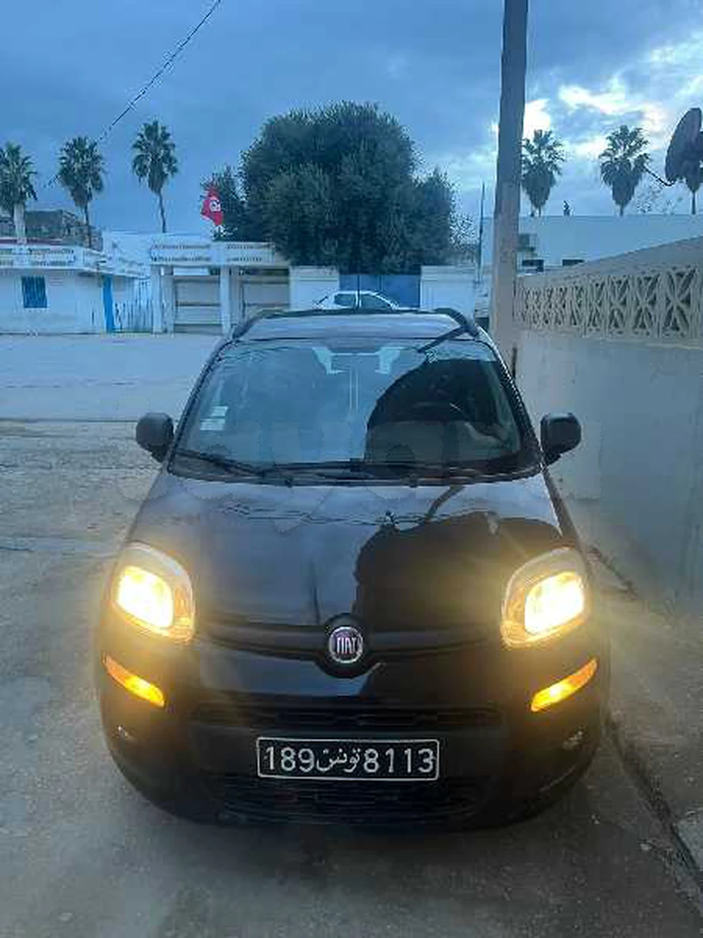 Carte voiture Fiat Panda