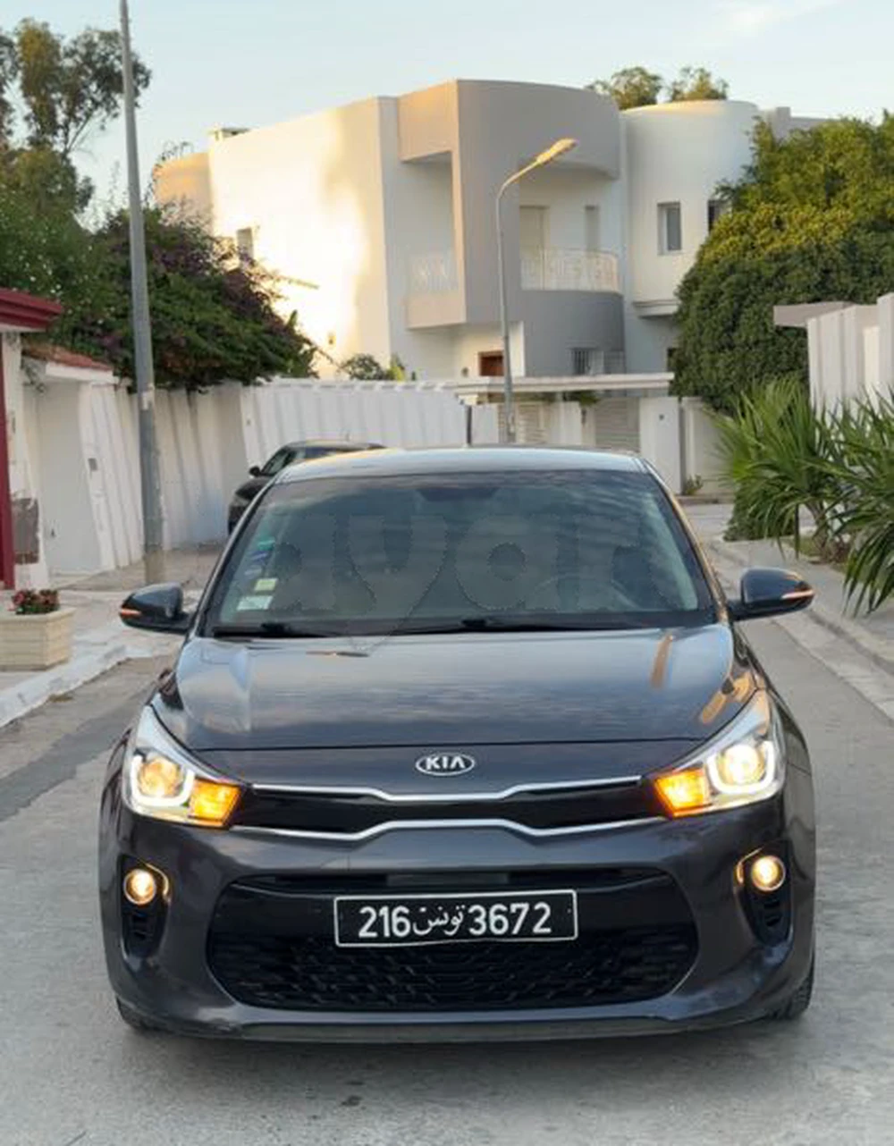 Kia Rio