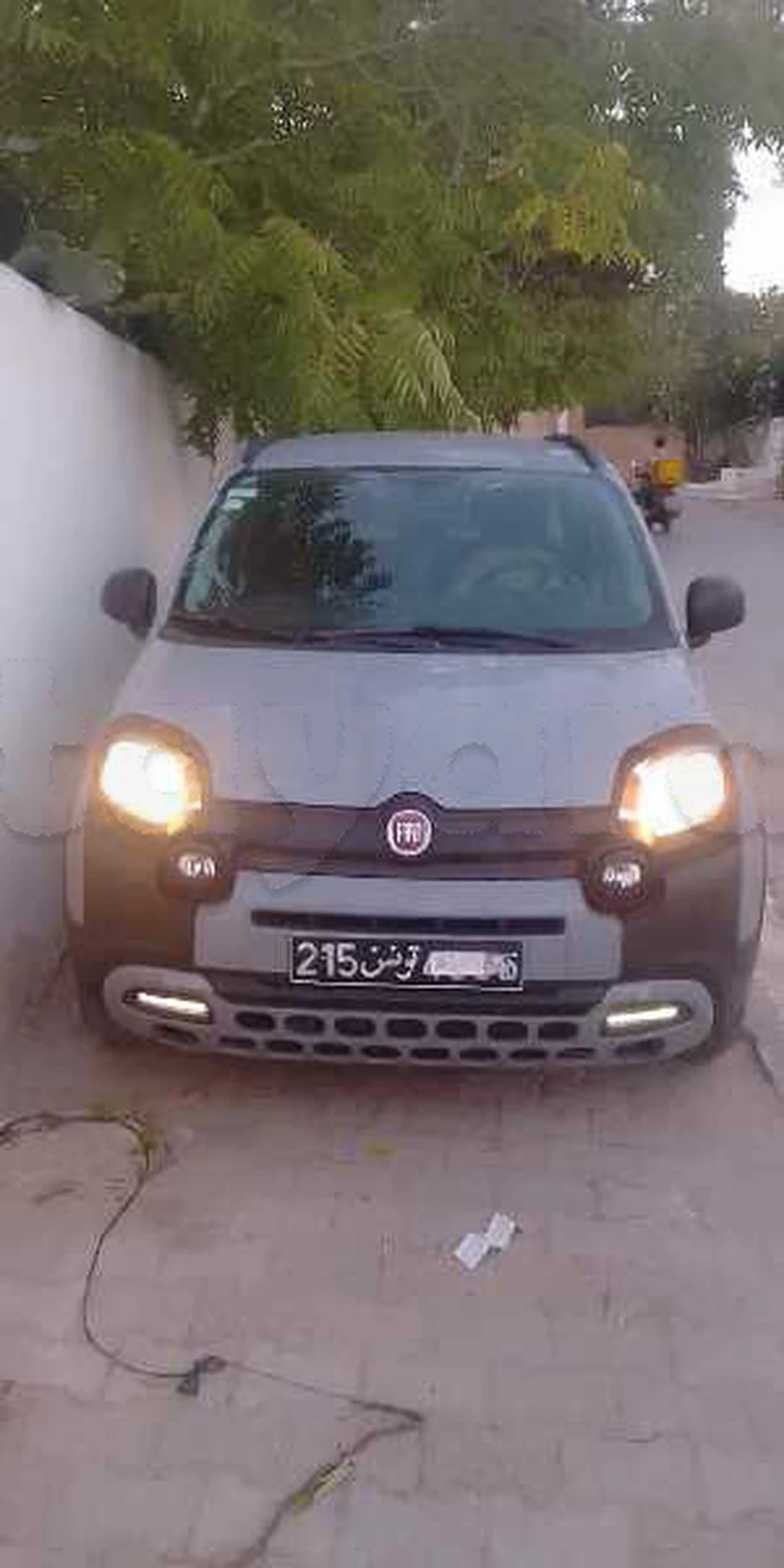 Carte voiture Fiat Panda