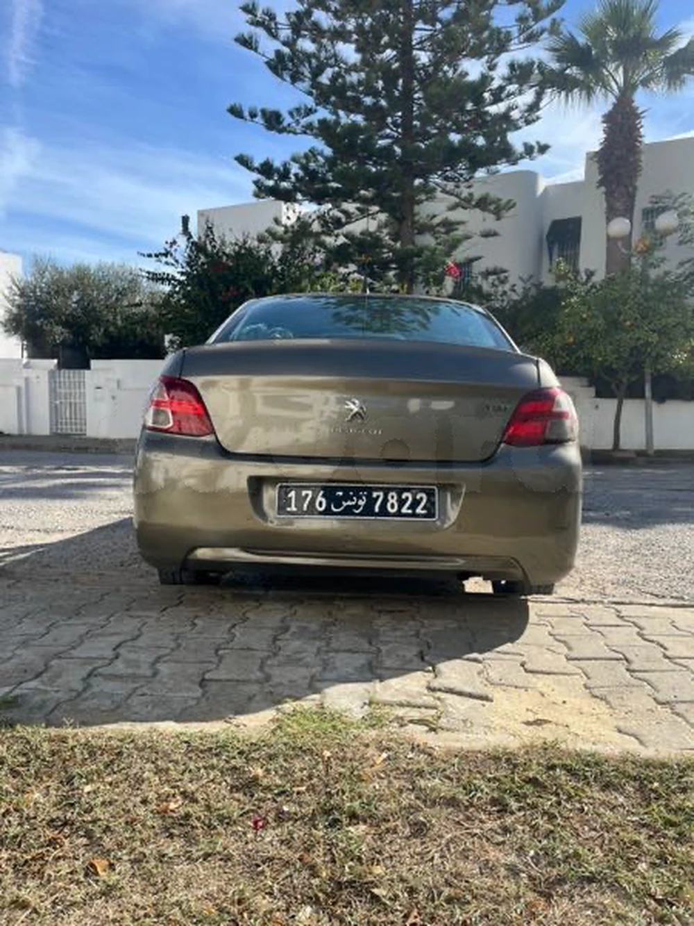 Carte voiture Peugeot 301