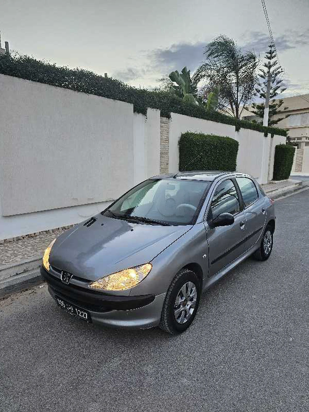 Carte voiture Peugeot 206