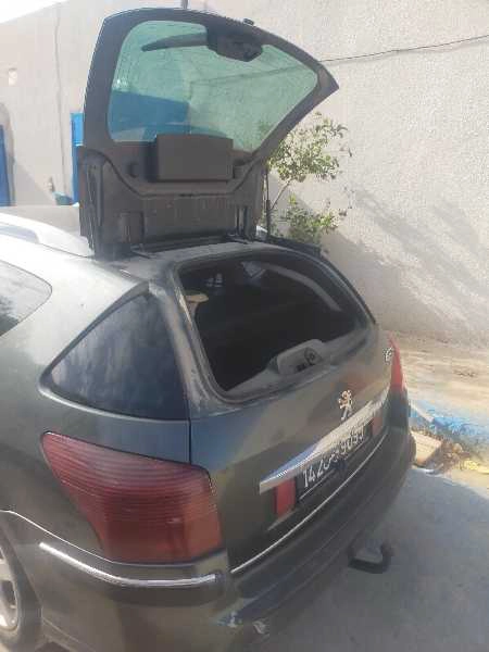 Peugeot 407 SW
