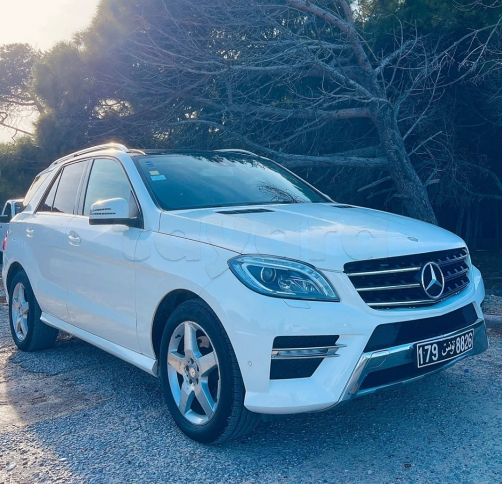 Carte voiture Mercedes-Benz 250