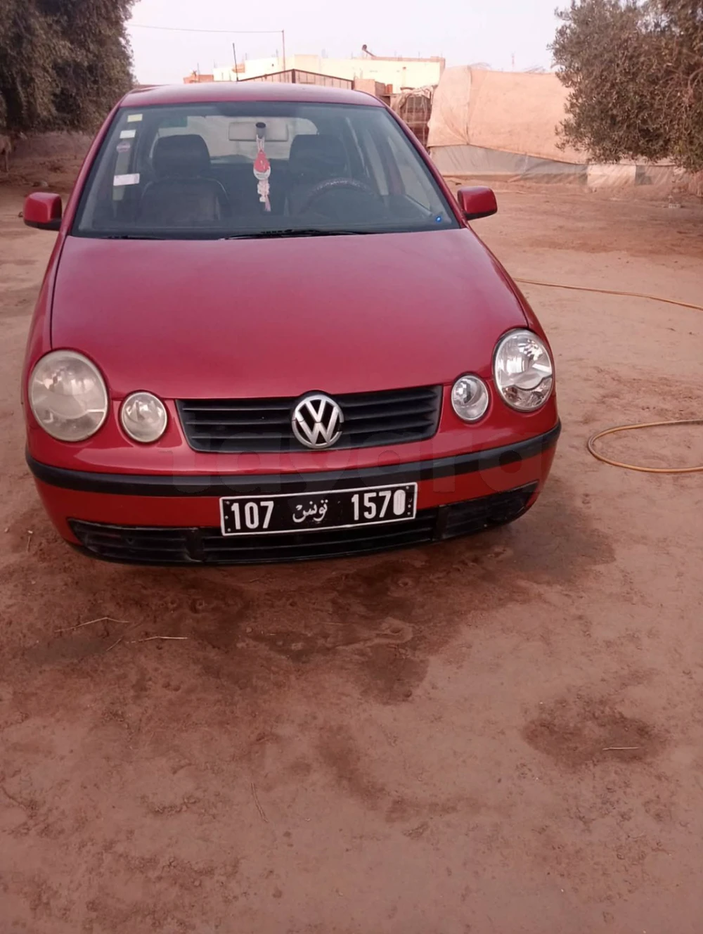 Polo 5