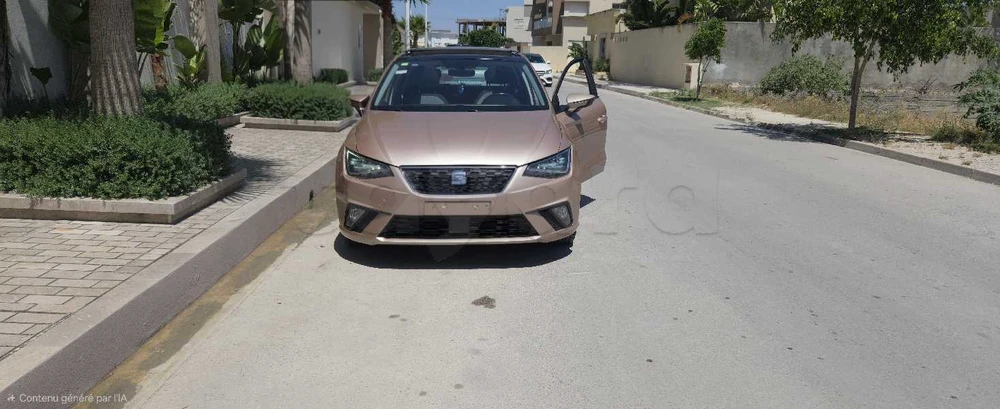 Carte voiture SEAT Ibiza