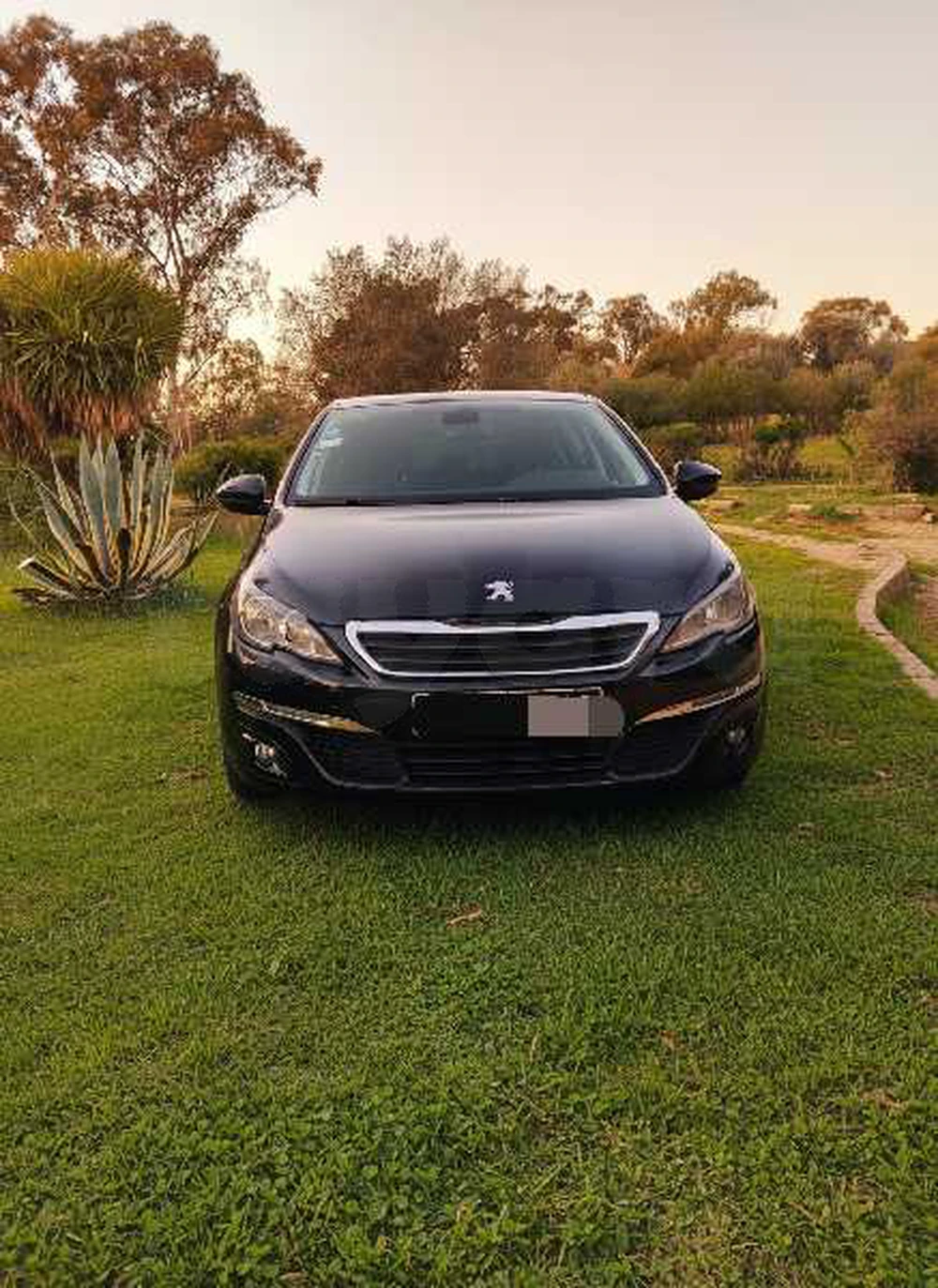 Carte voiture Peugeot 308