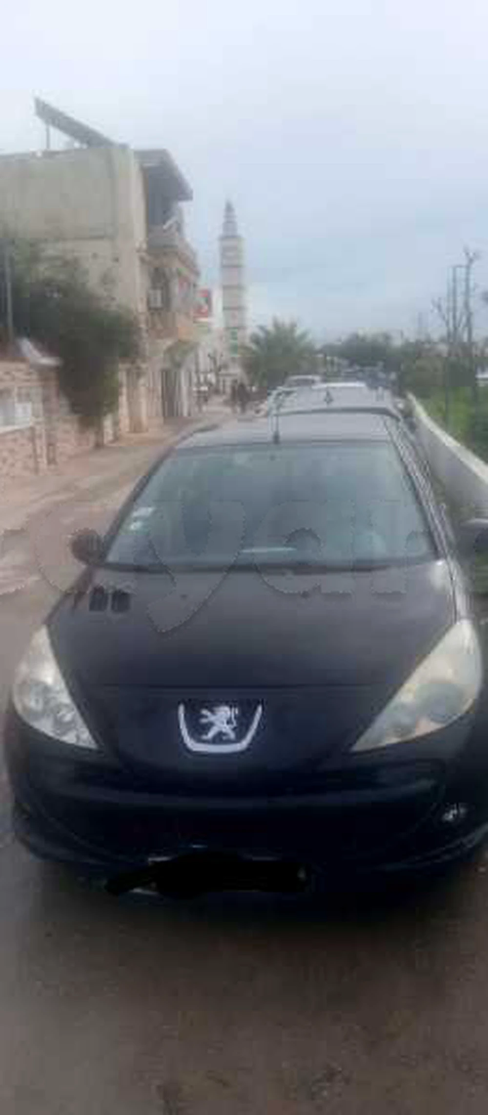 Carte voiture Peugeot 206+