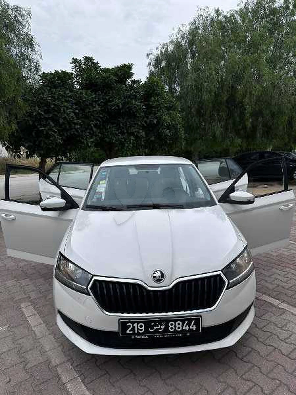 Carte voiture Skoda Fabia