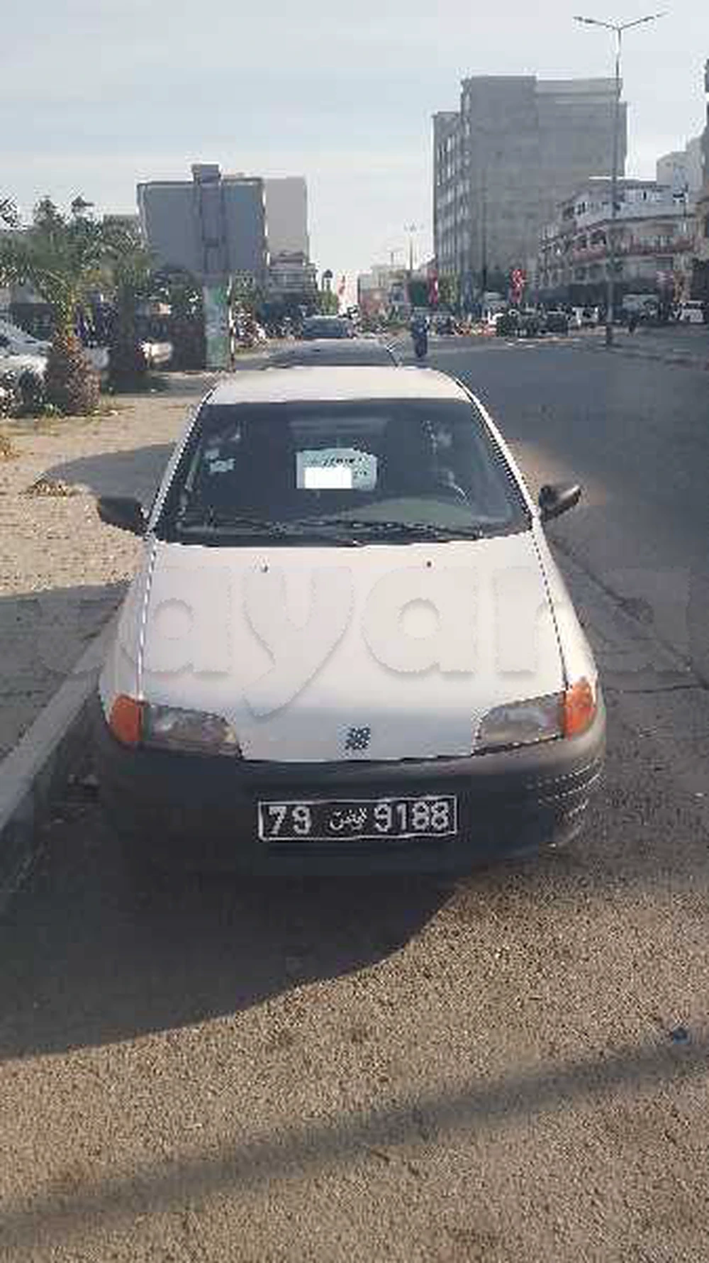 Carte voiture Fiat Punto