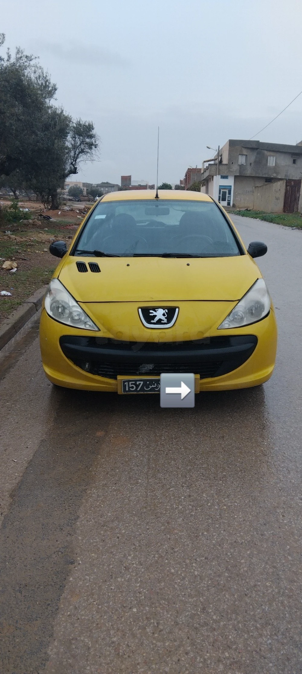 Carte voiture Peugeot 206