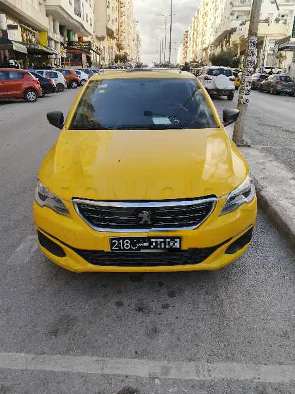 Carte voiture Peugeot 301