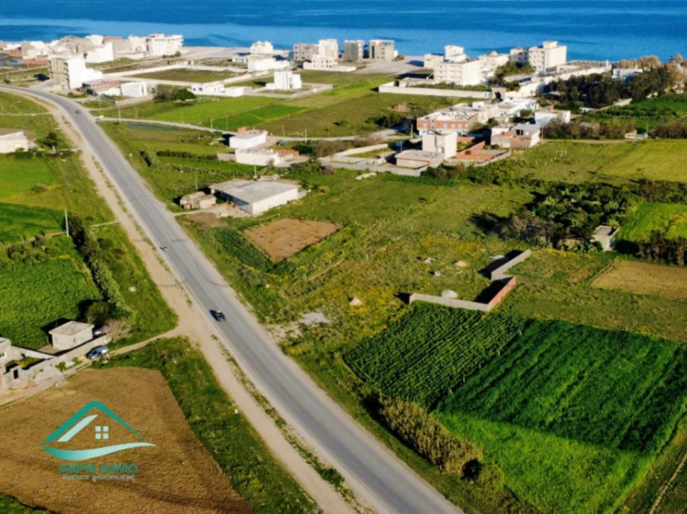 Terrain 1000 m² sur route principale ceinture Kelibia