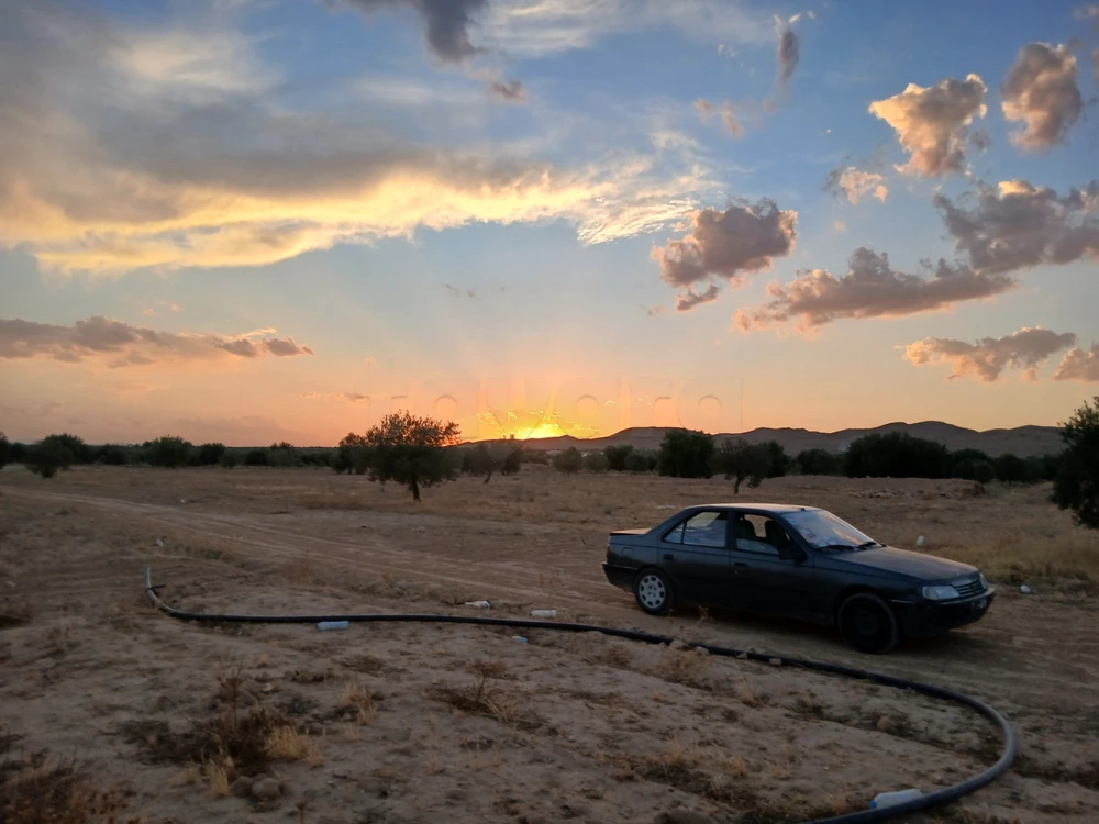 Peugeot 405