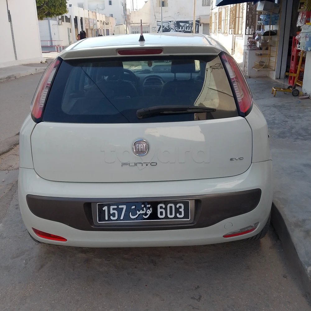 Carte voiture Fiat Punto