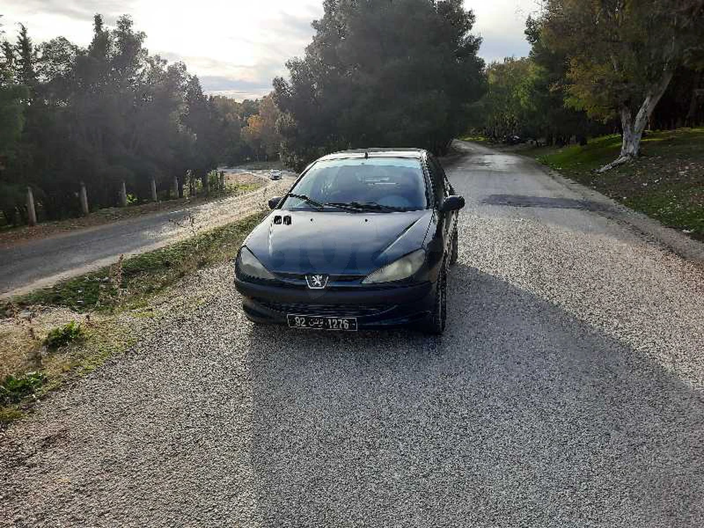Carte voiture Peugeot 206